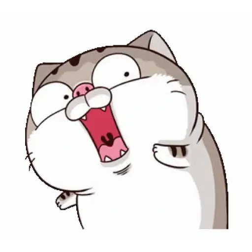 Fat cat 20