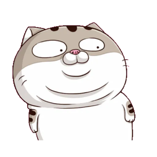 Fat cat 11