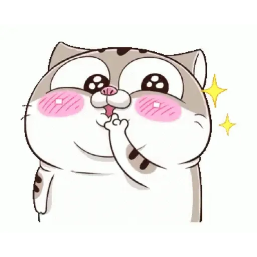 Fat cat 23