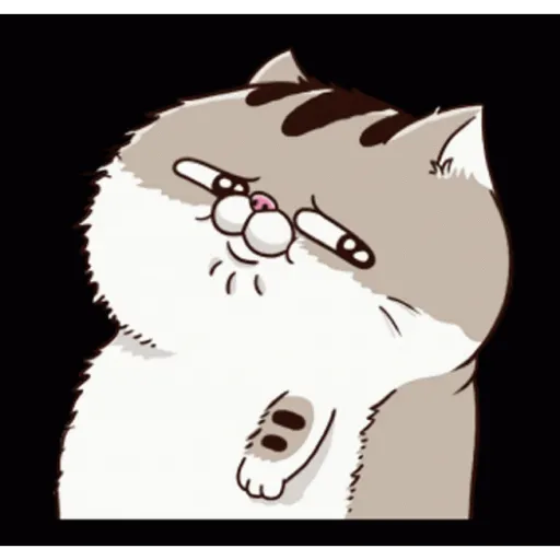 Fat cat 4