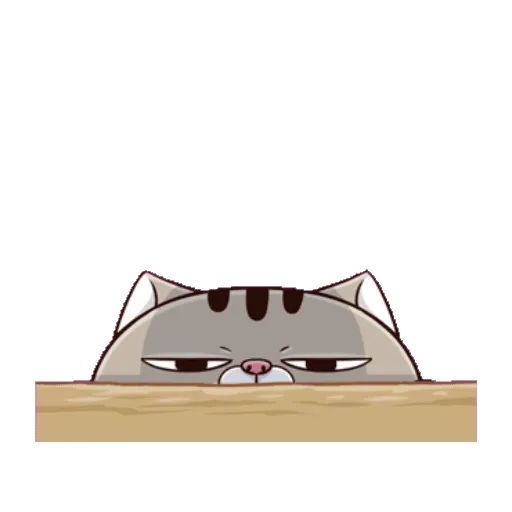 Fat cat 6