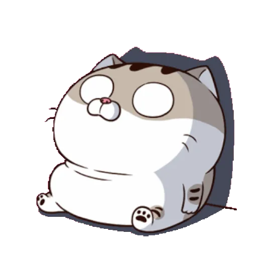 Fat cat 7
