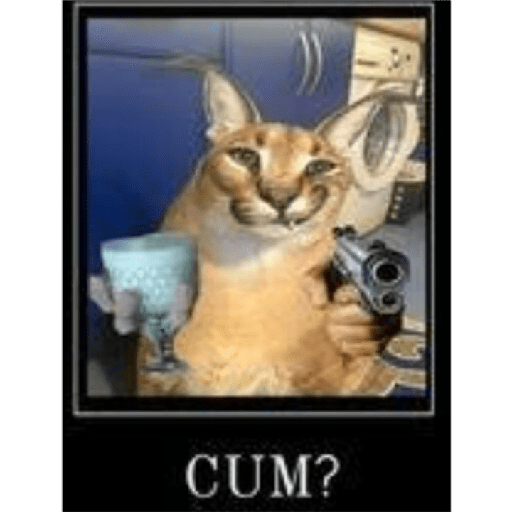 Meu 22