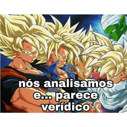 Meu 13