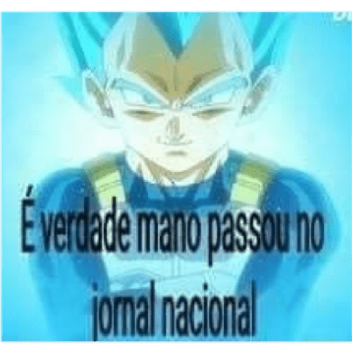 Meu 11