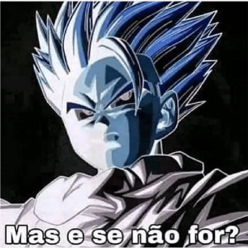 Meu 12