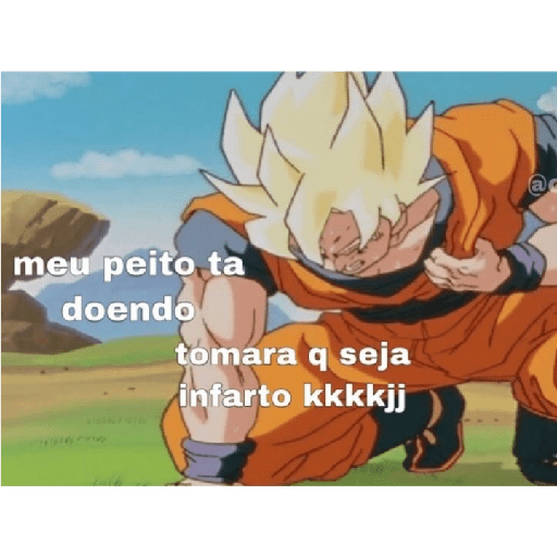 Meu 29