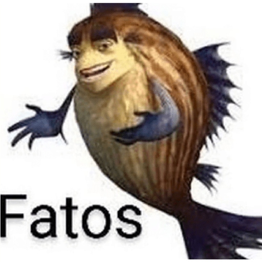 Meu 3