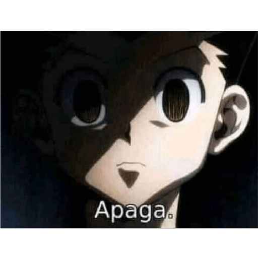 Meu 13