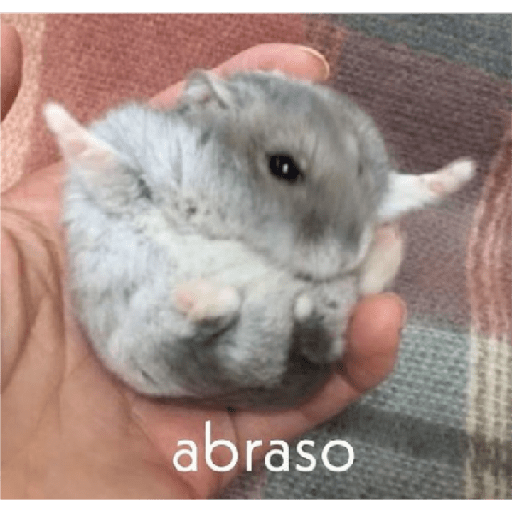 Meu 25