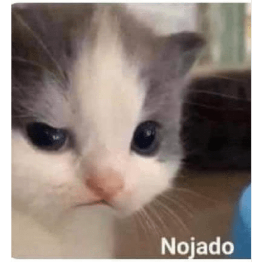 Stickers que debes tener 3🤠 4
