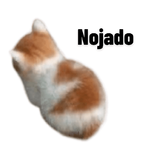 Stickers que debes tener 3🤠 19