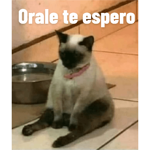 Stickers que debes tener 3🤠 18