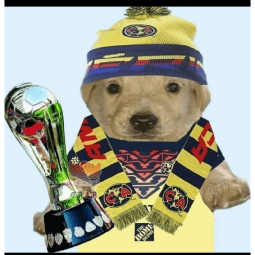 Club américa 5