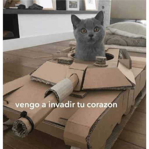 Catss 4