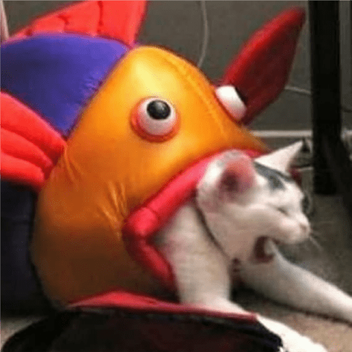 Catss 2