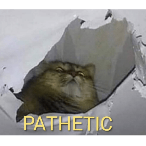 Catss 6