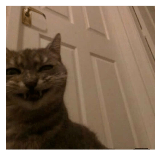 Catss 15