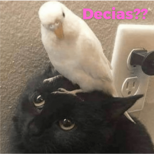 Catss 9