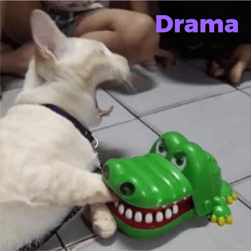 Catss 8