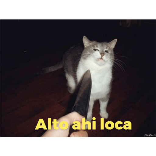 Catss 3