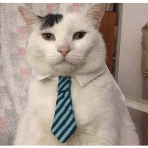 Catss 11
