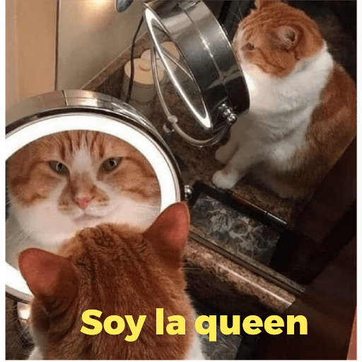 Catss 5
