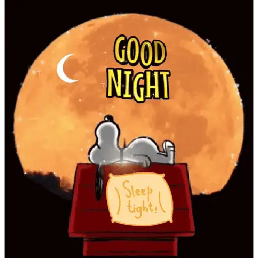 Snoopy gif 5