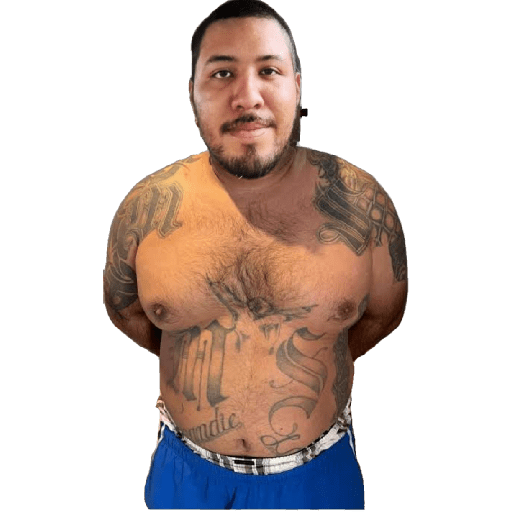Gordo  11