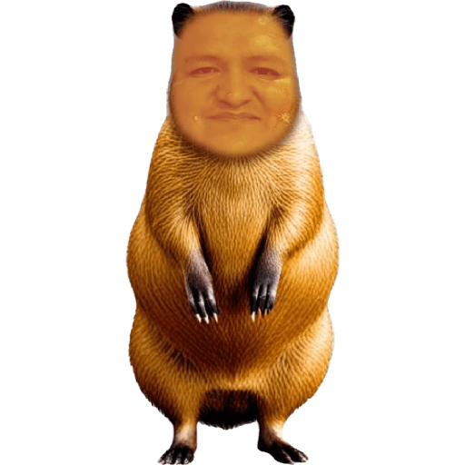 Gordo  8