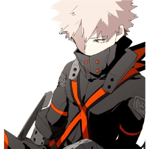 Bakugou Katsuki 14