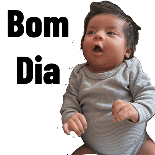 Minhas figurinhas