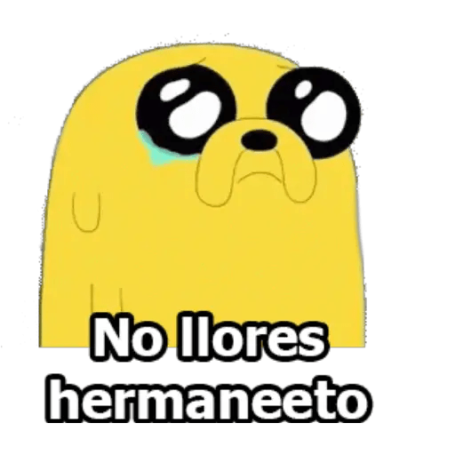 JAKE EL PERRO 18