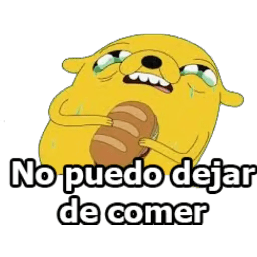 JAKE EL PERRO 9