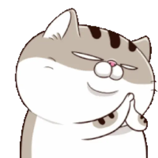 Ami cat 10