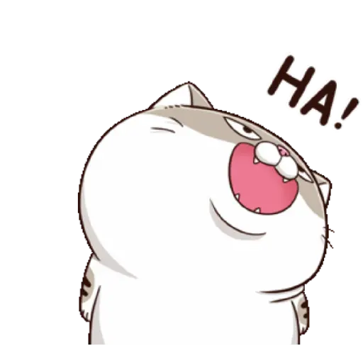 Ami cat 3