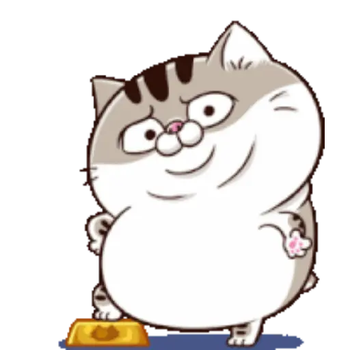Ami cat 18