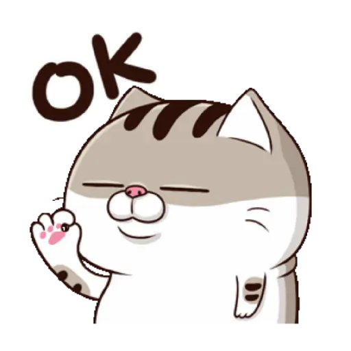Ami cat 7