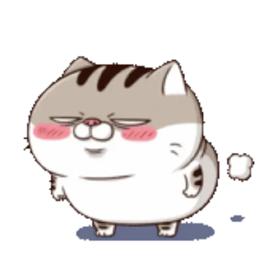 Ami cat 4
