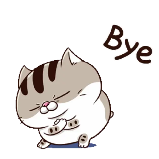 Ami cat 20