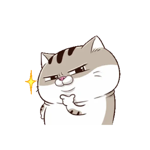Ami cat 23