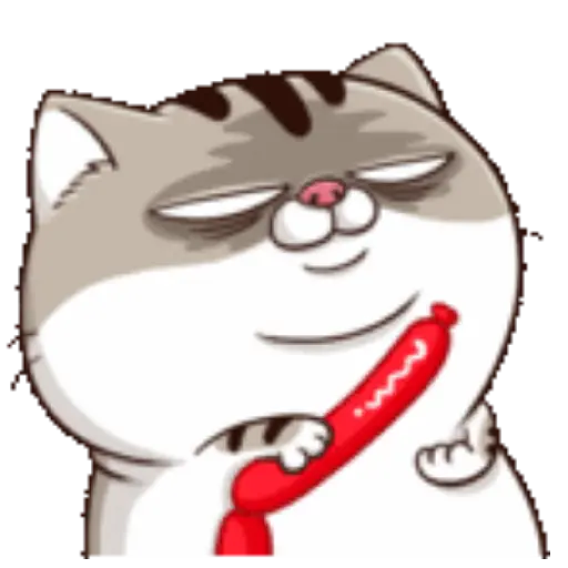 Ami cat 25