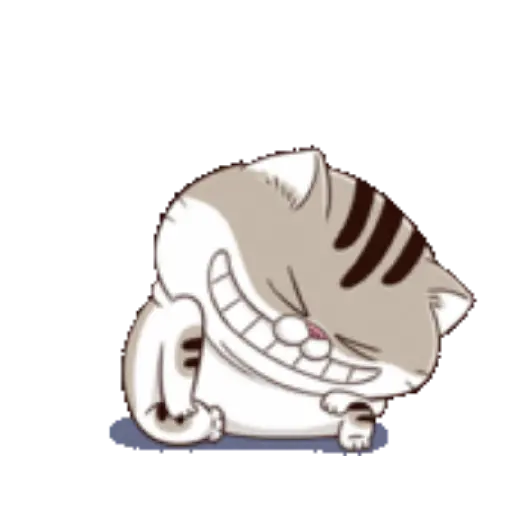 Ami cat 13