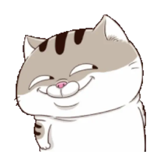 Ami cat 11