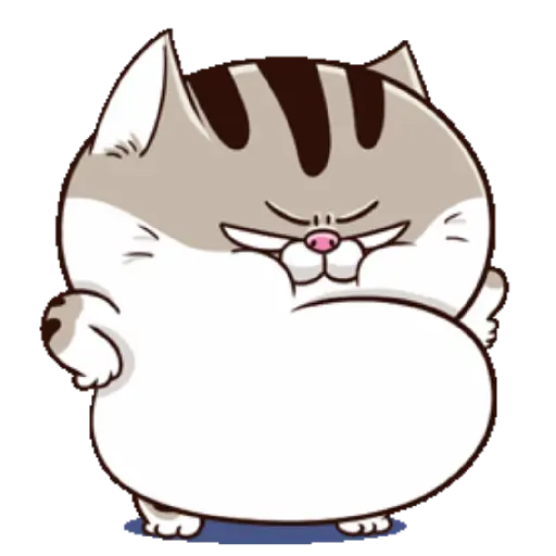 Ami cat 24