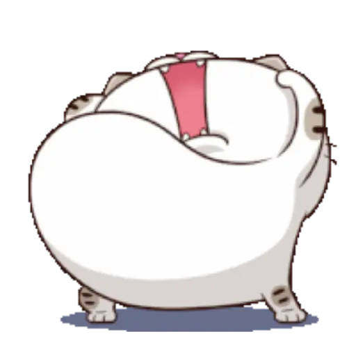 Ami cat 14
