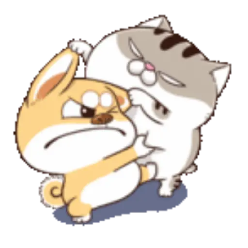 Ami cat 26
