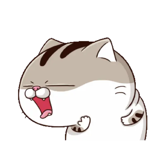 Ami cat 21