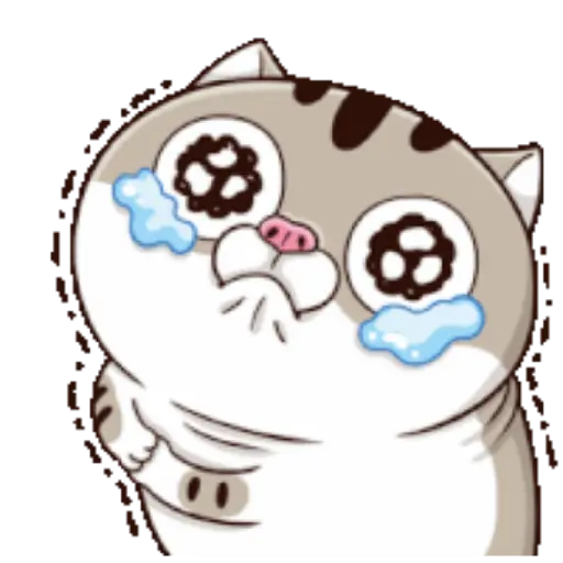 Ami cat 2