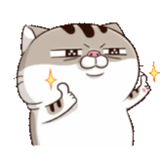 Ami cat 17